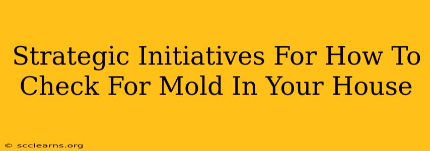 Strategic Initiatives For How To Check For Mold In Your House