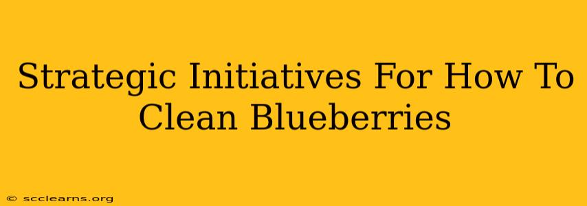 Strategic Initiatives For How To Clean Blueberries