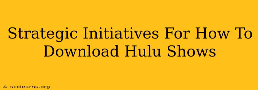 Strategic Initiatives For How To Download Hulu Shows