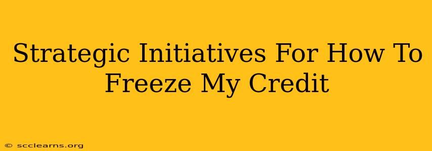 Strategic Initiatives For How To Freeze My Credit