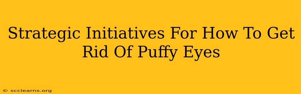 Strategic Initiatives For How To Get Rid Of Puffy Eyes