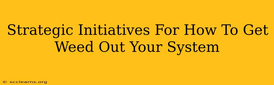 Strategic Initiatives For How To Get Weed Out Your System