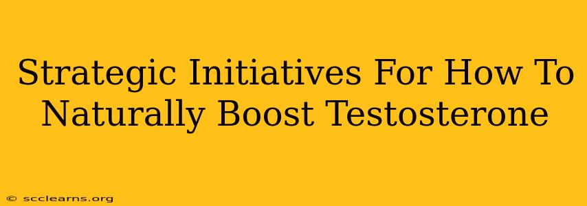 Strategic Initiatives For How To Naturally Boost Testosterone