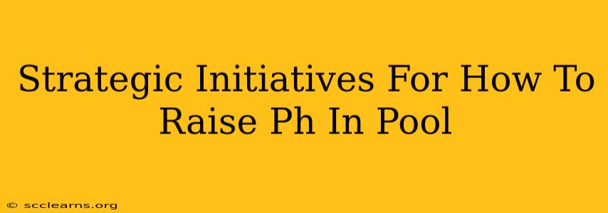 Strategic Initiatives For How To Raise Ph In Pool