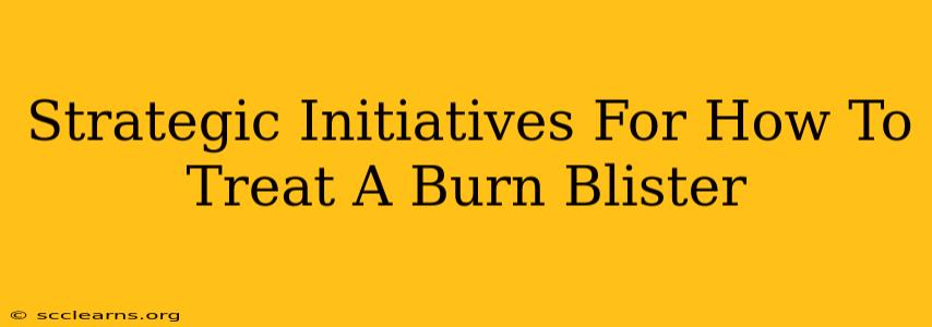 Strategic Initiatives For How To Treat A Burn Blister