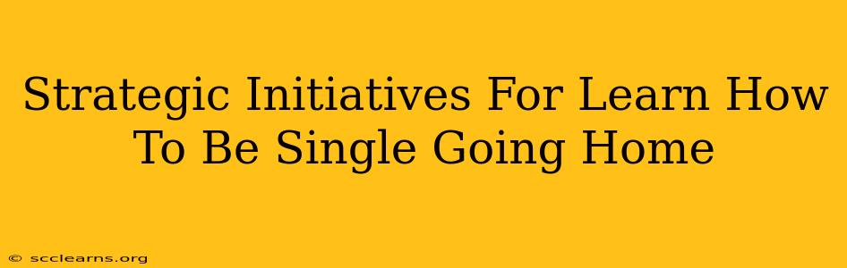 Strategic Initiatives For Learn How To Be Single Going Home