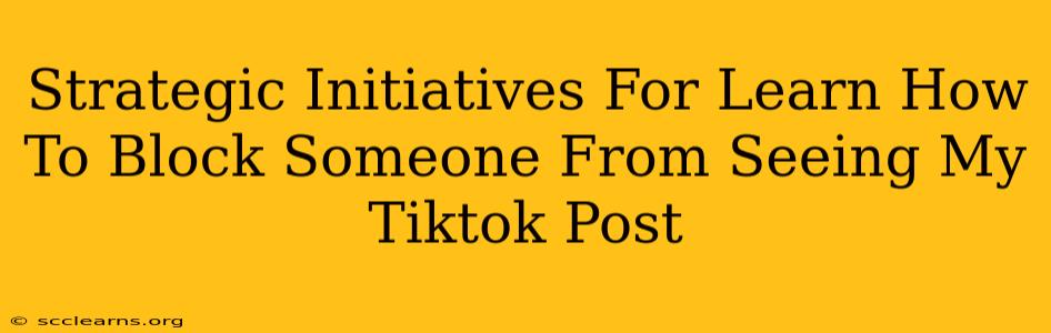 Strategic Initiatives For Learn How To Block Someone From Seeing My Tiktok Post