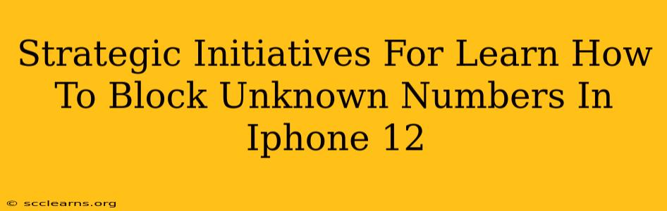 Strategic Initiatives For Learn How To Block Unknown Numbers In Iphone 12