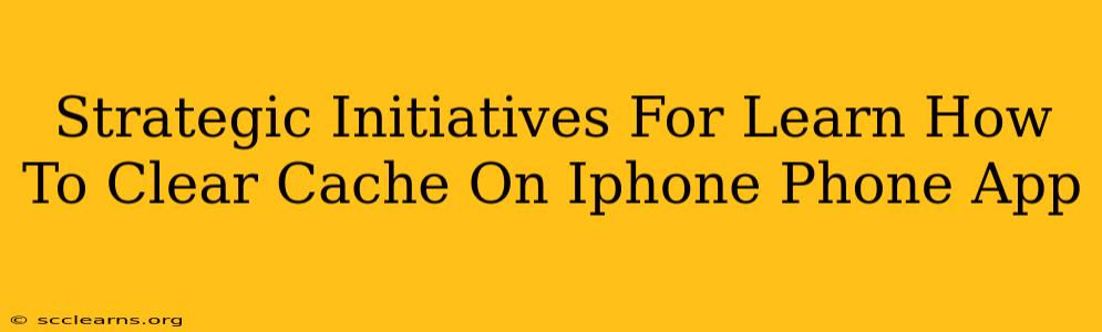 Strategic Initiatives For Learn How To Clear Cache On Iphone Phone App