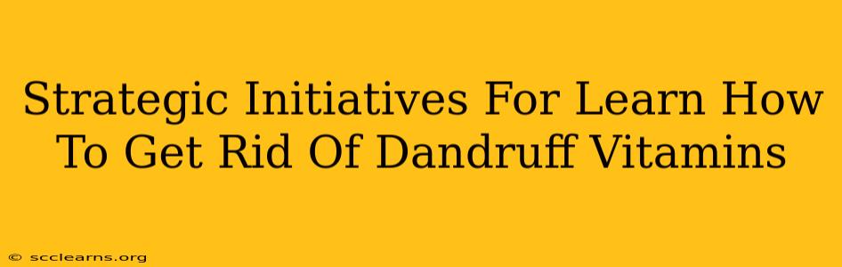 Strategic Initiatives For Learn How To Get Rid Of Dandruff Vitamins