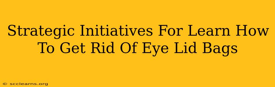 Strategic Initiatives For Learn How To Get Rid Of Eye Lid Bags