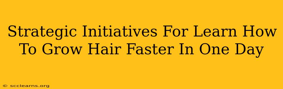 Strategic Initiatives For Learn How To Grow Hair Faster In One Day