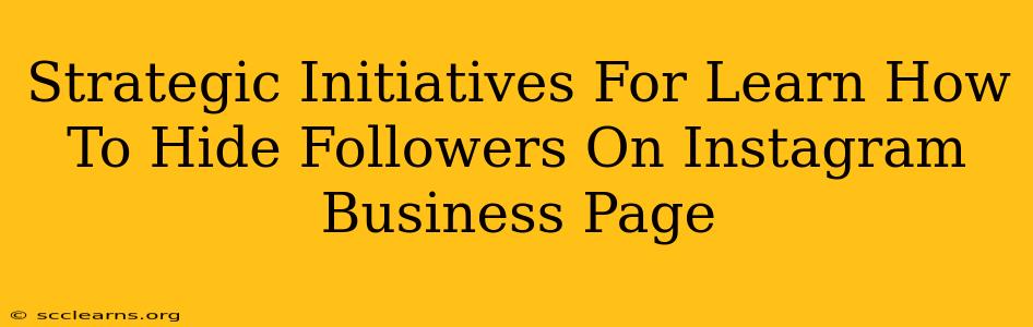 Strategic Initiatives For Learn How To Hide Followers On Instagram Business Page