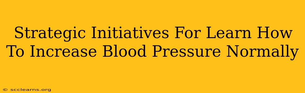 Strategic Initiatives For Learn How To Increase Blood Pressure Normally