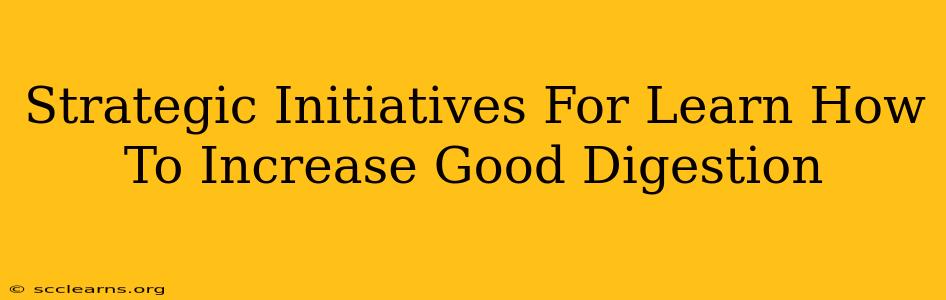 Strategic Initiatives For Learn How To Increase Good Digestion