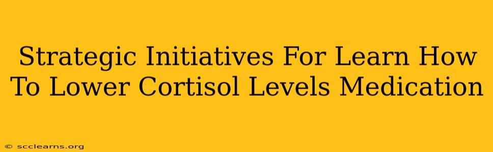 Strategic Initiatives For Learn How To Lower Cortisol Levels Medication