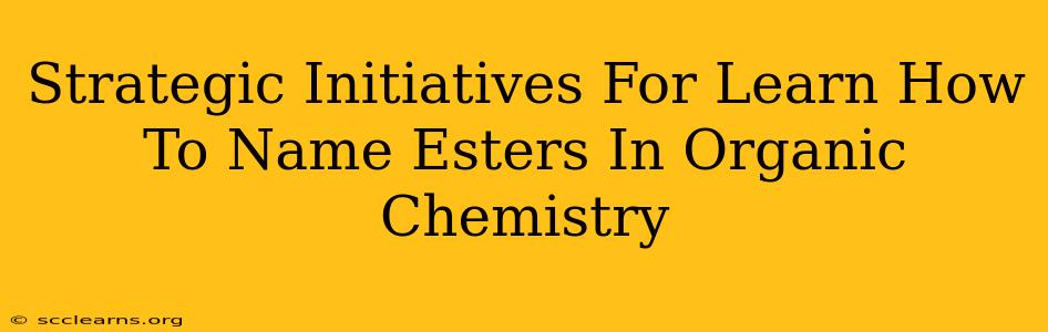 Strategic Initiatives For Learn How To Name Esters In Organic Chemistry