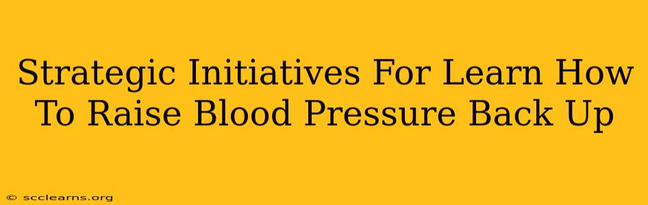 Strategic Initiatives For Learn How To Raise Blood Pressure Back Up