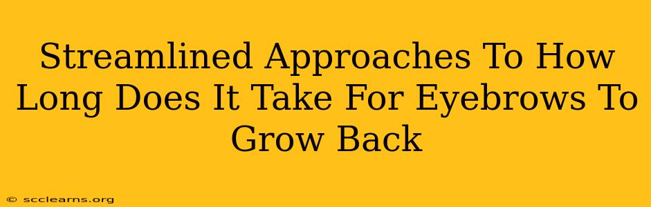 Streamlined Approaches To How Long Does It Take For Eyebrows To Grow Back