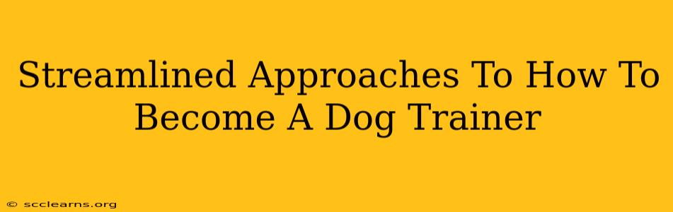 Streamlined Approaches To How To Become A Dog Trainer