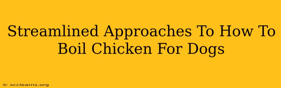 Streamlined Approaches To How To Boil Chicken For Dogs