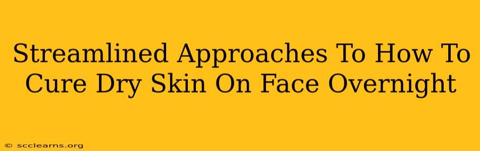 Streamlined Approaches To How To Cure Dry Skin On Face Overnight