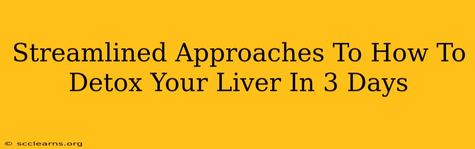 Streamlined Approaches To How To Detox Your Liver In 3 Days