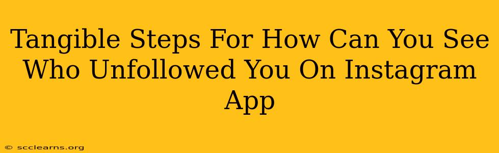 Tangible Steps For How Can You See Who Unfollowed You On Instagram App