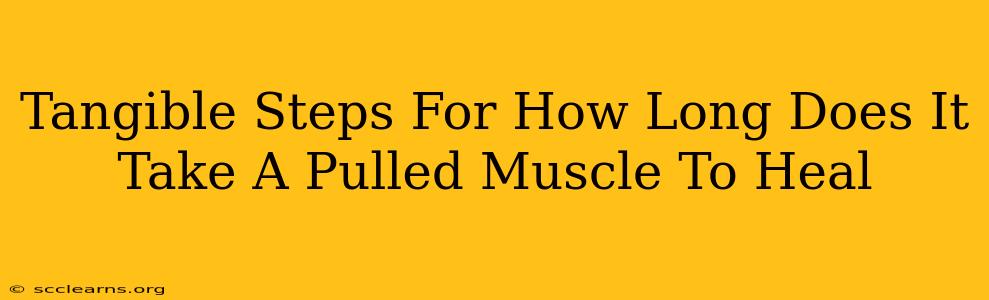 Tangible Steps For How Long Does It Take A Pulled Muscle To Heal