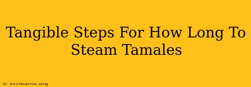 Tangible Steps For How Long To Steam Tamales