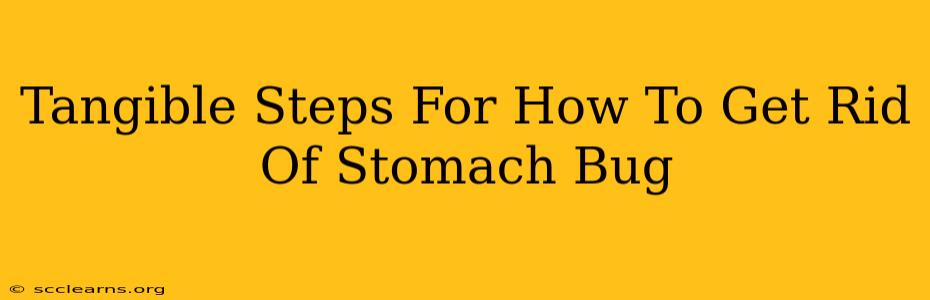 Tangible Steps For How To Get Rid Of Stomach Bug