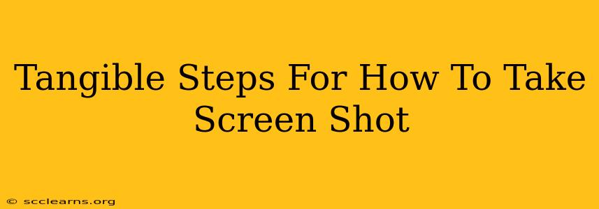 Tangible Steps For How To Take Screen Shot