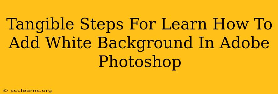 Tangible Steps For Learn How To Add White Background In Adobe Photoshop