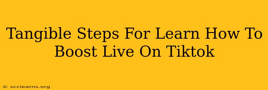 Tangible Steps For Learn How To Boost Live On Tiktok