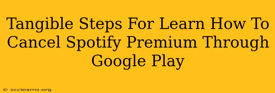 Tangible Steps For Learn How To Cancel Spotify Premium Through Google Play