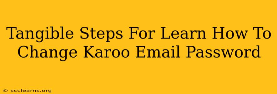 Tangible Steps For Learn How To Change Karoo Email Password