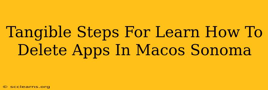 Tangible Steps For Learn How To Delete Apps In Macos Sonoma