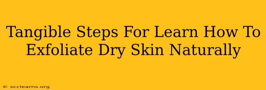 Tangible Steps For Learn How To Exfoliate Dry Skin Naturally