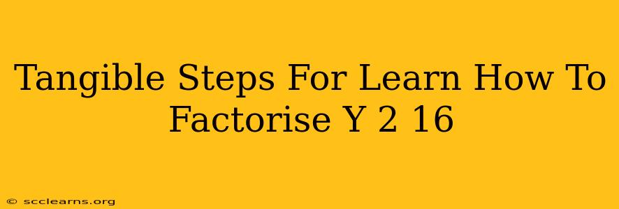 Tangible Steps For Learn How To Factorise Y 2 16