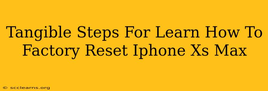 Tangible Steps For Learn How To Factory Reset Iphone Xs Max