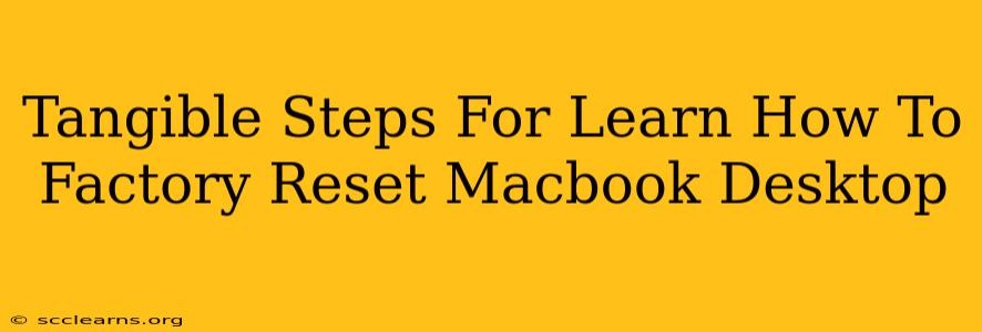 Tangible Steps For Learn How To Factory Reset Macbook Desktop