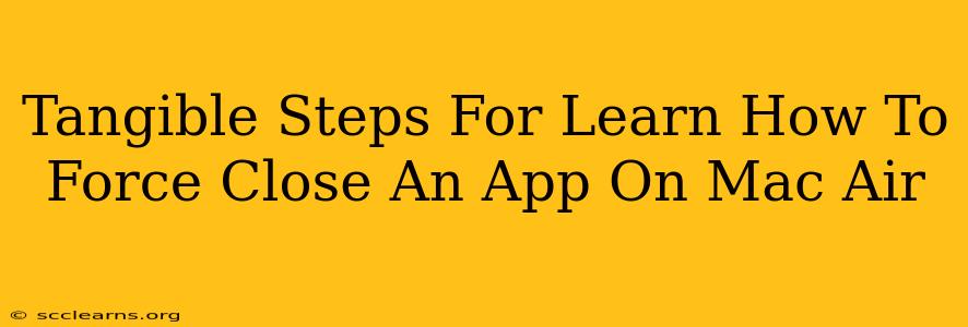 Tangible Steps For Learn How To Force Close An App On Mac Air