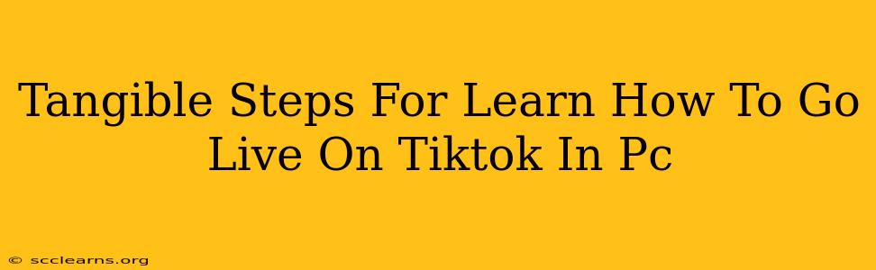 Tangible Steps For Learn How To Go Live On Tiktok In Pc