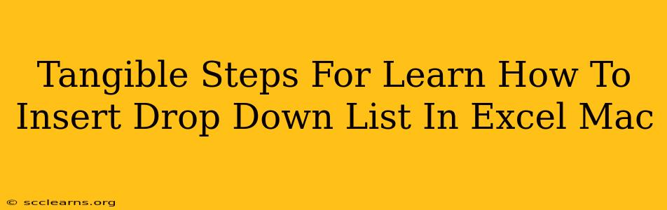 Tangible Steps For Learn How To Insert Drop Down List In Excel Mac