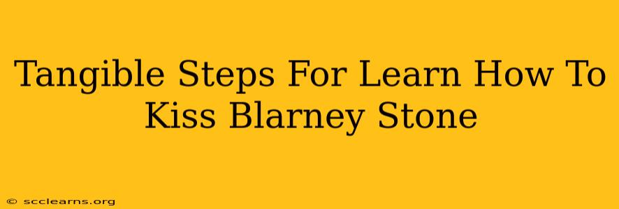 Tangible Steps For Learn How To Kiss Blarney Stone