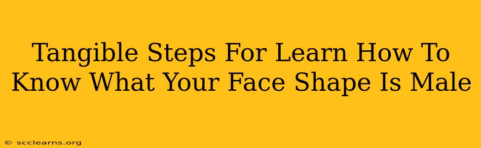 Tangible Steps For Learn How To Know What Your Face Shape Is Male