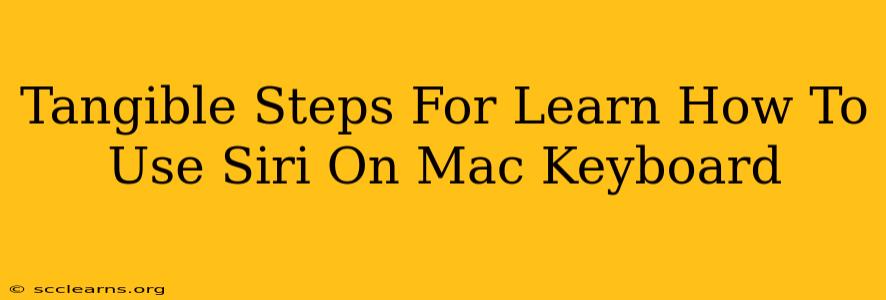 Tangible Steps For Learn How To Use Siri On Mac Keyboard