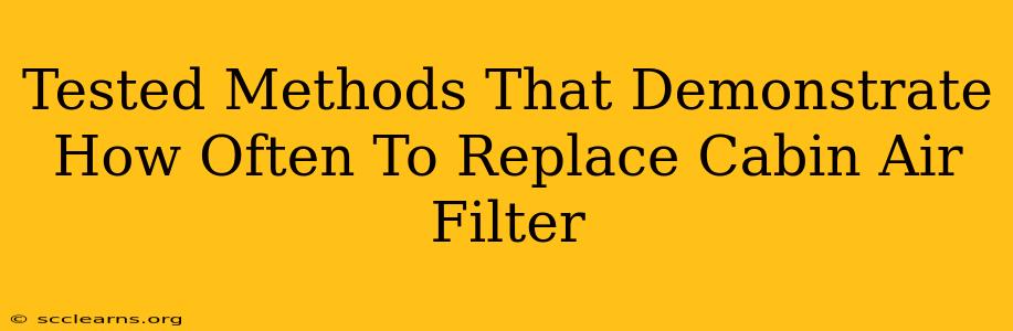 Tested Methods That Demonstrate How Often To Replace Cabin Air Filter