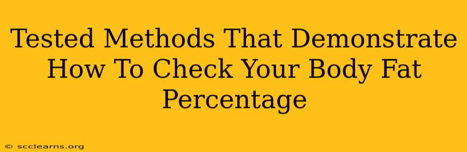 Tested Methods That Demonstrate How To Check Your Body Fat Percentage