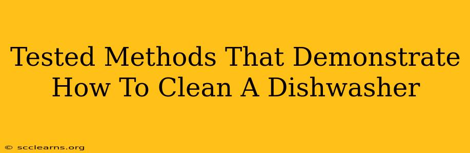 Tested Methods That Demonstrate How To Clean A Dishwasher